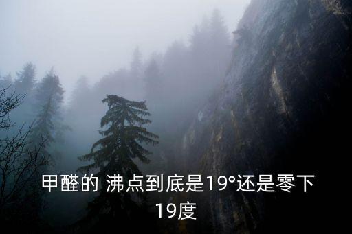  甲醛的 沸點到底是19°還是零下19度