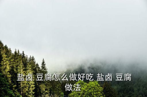  鹽鹵 豆腐怎么做好吃 鹽鹵 豆腐做法