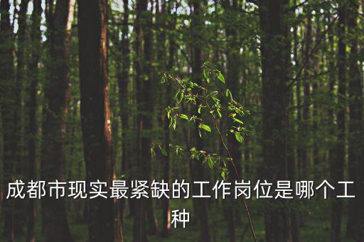 成都市現實最緊缺的工作崗位是哪個工種