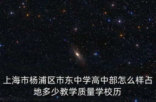 上海市東中學(xué)對(duì)口高中，上海市楊浦區(qū)市東中學(xué)高中部怎么樣占地多少教學(xué)質(zhì)量學(xué)校歷