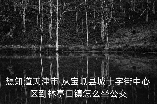 天津市寶坻區林亭口鎮白毛莊村，去天津市寶坻區林亭口鎮大新莊村可以去嗎