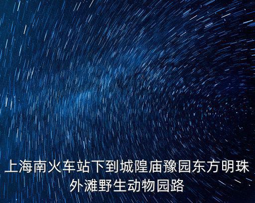上海南火車站下到城隍廟豫園東方明珠外灘野生動物園路