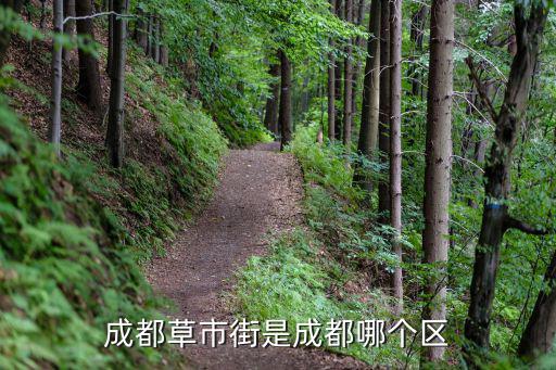成都草市街是成都哪個(gè)區(qū)