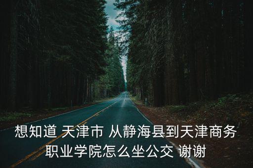 想知道 天津市 從靜海縣到天津商務(wù)職業(yè)學(xué)院怎么坐公交 謝謝