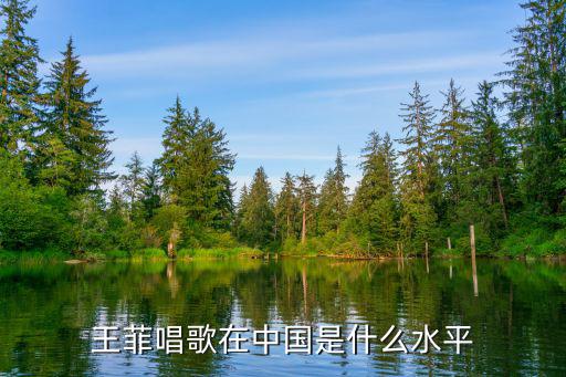 王菲唱歌在中國是什么水平