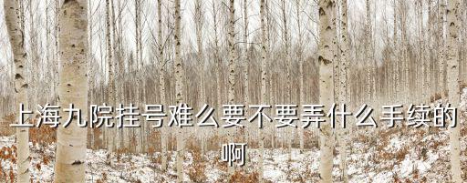 上海九院掛號難么要不要弄什么手續的啊