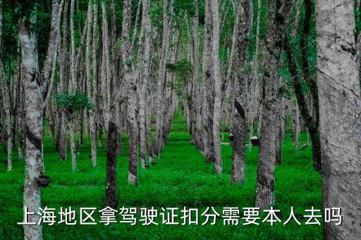上海地區拿駕駛證扣分需要本人去嗎
