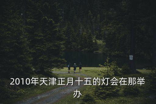 2010年天津正月十五的燈會在那舉辦