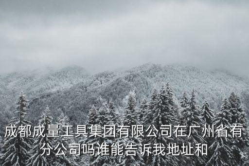 成都成量工具集團(tuán)有限公司在廣州省有分公司嗎誰能告訴我地址和
