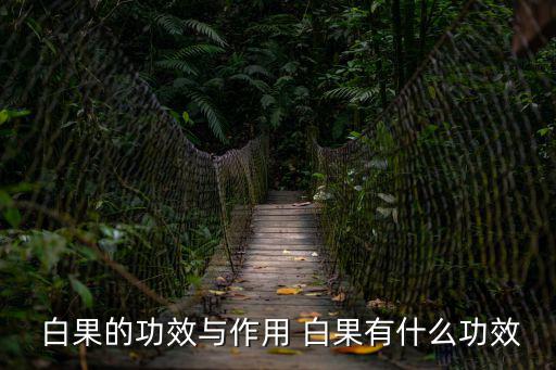  白果的功效與作用 白果有什么功效