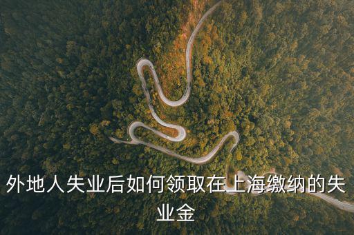 外地人失業后如何領取在上海繳納的失業金