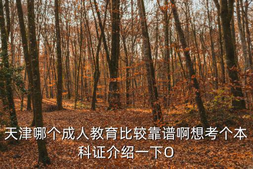 天津哪個成人教育比較靠譜啊想考個本科證介紹一下O