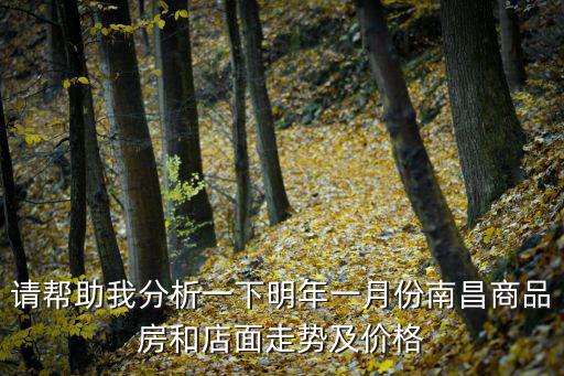 請幫助我分析一下明年一月份南昌商品房和店面走勢及價格