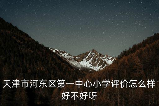 天津市河東區第一中心小學評價怎么樣好不好呀