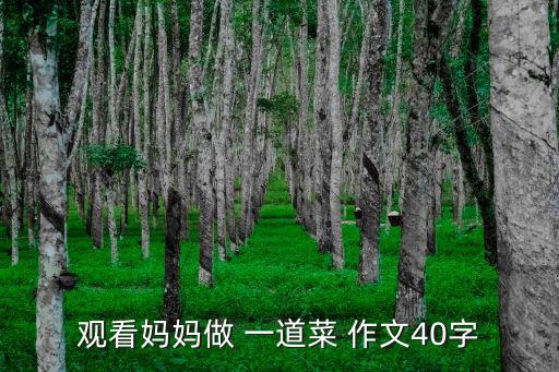 做一道菜作文,小桔燈美食大會西紅柿炒雞蛋飄香