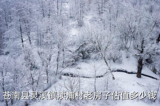 蒼南縣靈溪鎮瀆浦村老房子估值多少錢