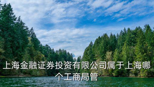 上海金融證券投資有限公司屬于上海哪個工商局管