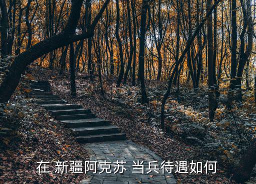 新疆當兵,甘肅蘭州大學生去新疆當兵2年獲獎學金