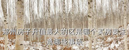 鄭州房子升值最大的區(qū)是哪個(gè)買房要注意哪些事項(xiàng)