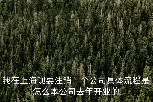我在上海現要注銷一個公司具體流程是怎么本公司去年開業的