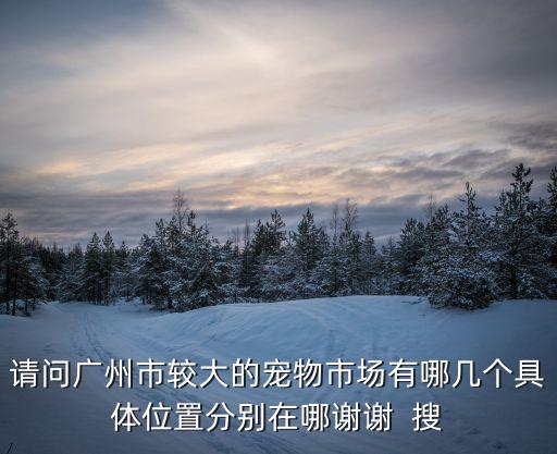 請問廣州市較大的寵物市場有哪幾個具體位置分別在哪謝謝  搜
