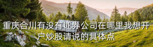 重慶合川有沒有證券公司在哪里我想開戶炒股請說的具體點