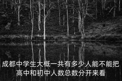 成都中學(xué)生大概一共有多少人能不能把高中和初中人數(shù)總數(shù)分開來看