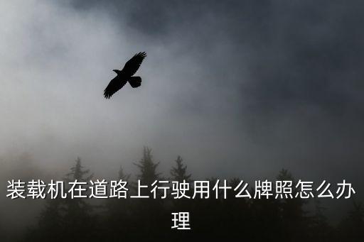裝載機在道路上行駛用什么牌照怎么辦理