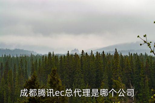 成都市壹茗信風(fēng)科技，四川成都市人民南路2段南府街53號川投集團大廈6樓601是什么公司