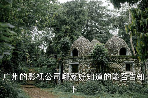 廣州的影視公司哪家好知道的能否告知下