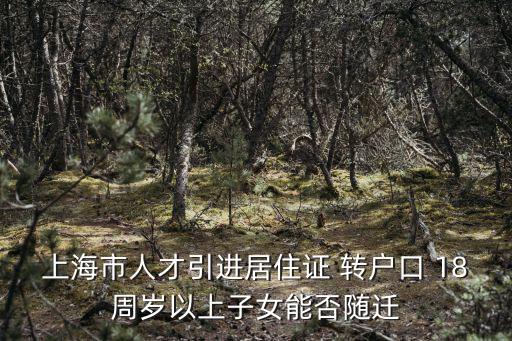上海市人才引進居住證 轉戶口 18周歲以上子女能否隨遷
