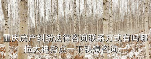 重慶房產糾紛法律咨詢聯系方式有嗎哪位大神指點一下我想咨詢一