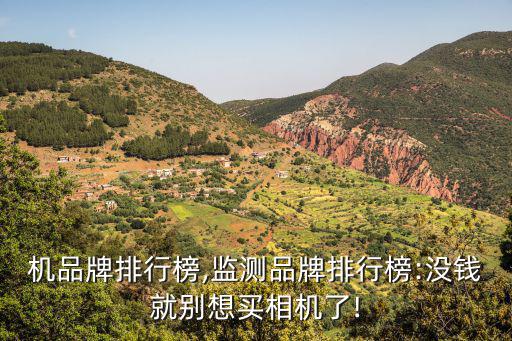 攝像機品牌排行榜,監測品牌排行榜:沒錢就別想買相機了!