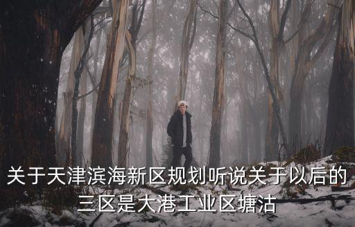 關(guān)于天津?yàn)I海新區(qū)規(guī)劃聽(tīng)說(shuō)關(guān)于以后的三區(qū)是大港工業(yè)區(qū)塘沽