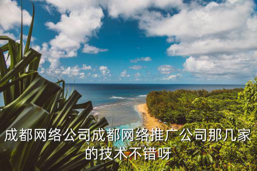 成都網絡公司成都網絡推廣公司那幾家的技術不錯呀