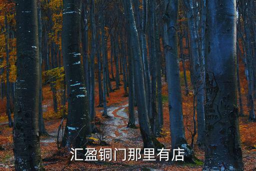 匯盈銅門那里有店