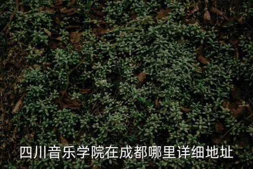 四川音樂學院在成都哪里詳細地址