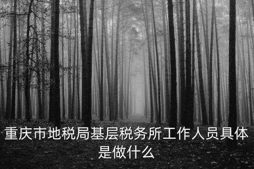 重慶市稅務(wù)局吳峰簡(jiǎn)歷，重慶云陽(yáng)稅務(wù)局的局長(zhǎng)是誰(shuí)
