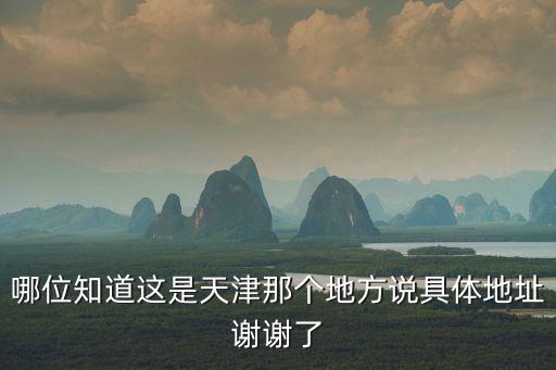 哪位知道這是天津那個地方說具體地址謝謝了