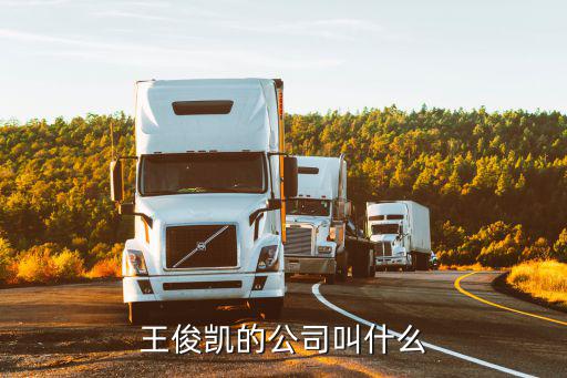 王俊凱的公司叫什么