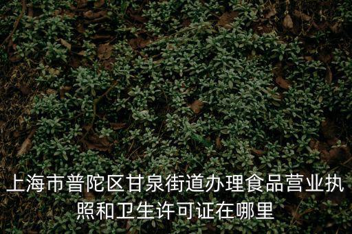 普陀工商辦事大廳地址，上海普陀工商局在哪里