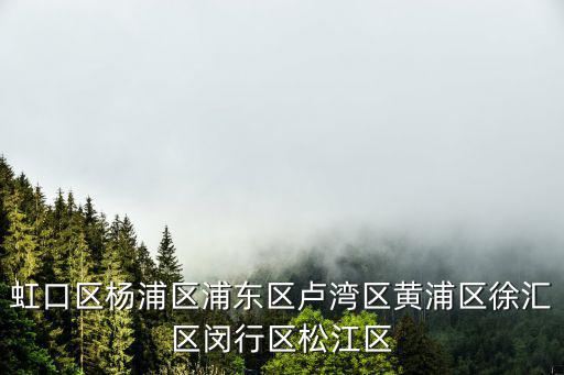 虹口區(qū)楊浦區(qū)浦東區(qū)盧灣區(qū)黃浦區(qū)徐匯區(qū)閔行區(qū)松江區(qū)