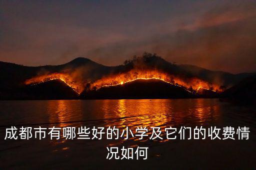 成都市有哪些好的小學及它們的收費情況如何