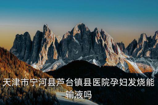 天津市寧河縣蘆臺鎮縣醫院孕婦發燒能輸液嗎