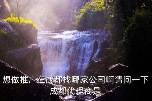 成都市萬詞推廣報價，想做推廣在成都找哪家公司啊請問一下成都代理商是