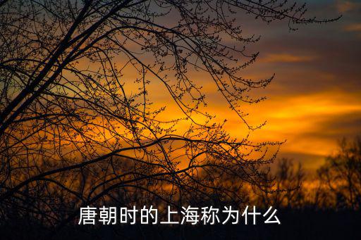 一網通管 上海，唐朝時的上海稱為什么
