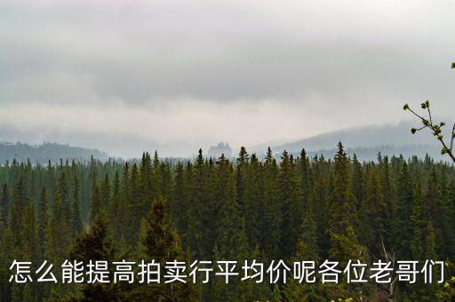 如何提高法拍房價，怎么能提高拍賣行平均價呢各位老哥們