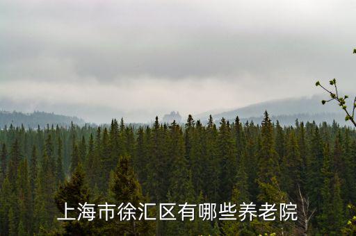 上海市徐匯區(qū)有哪些養(yǎng)老院