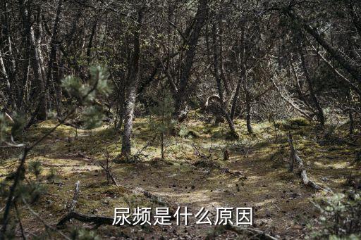  尿頻是什么原因