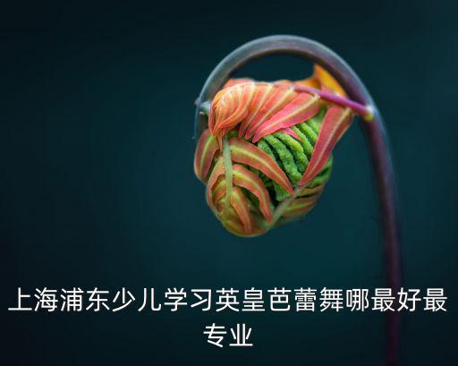 上海浦東少兒學(xué)習(xí)英皇芭蕾舞哪最好最專業(yè)